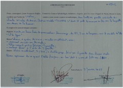 BAZIN TOURTE L 2