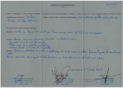 BAZIN VN 2