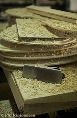 CW_WoodShavings