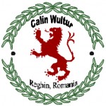 calin-wultur-logo