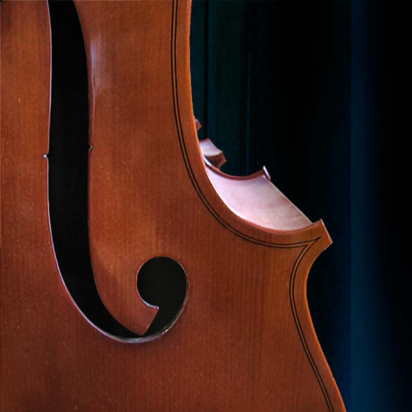 violas